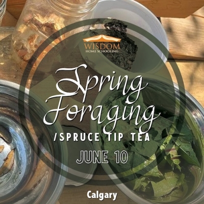 Survival: Spring Foraging/Spruce Tip Tea A - Calgary